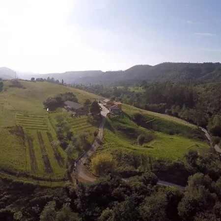 Cerezal 1 Los Candanos