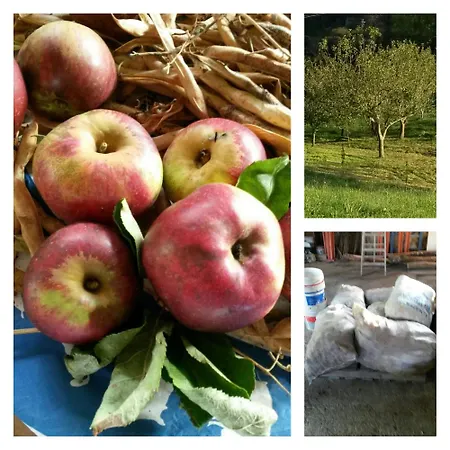 Cerezal 1 بيت للعطل Los Candanos